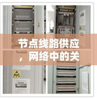 节点线路供应,网络中的关键基础设施 节点线路供应,网络中的关键基础设施