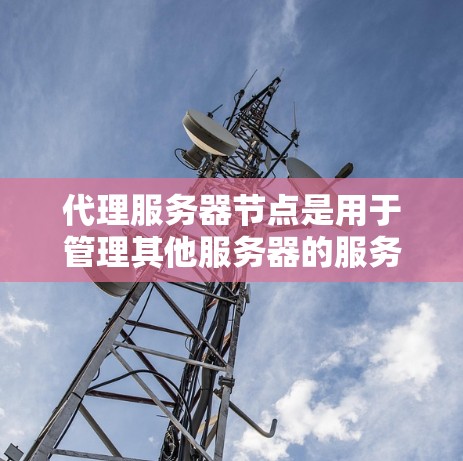 代理服务器节点是用于管理其他服务器的服务器,提供自动化配置、服务器管理、监控和扩展能力。以下是代理服务器节点的详细介绍 代理服务器节点是用于管理其他服务器的服务器,提供自动化配置、服务器管理、监控和扩展能力。以下是代理服务器节点的详细介绍