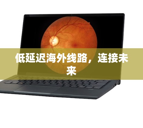 低延迟海外线路，连接未来