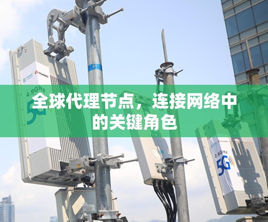 全球代理节点，连接网络中的关键角色