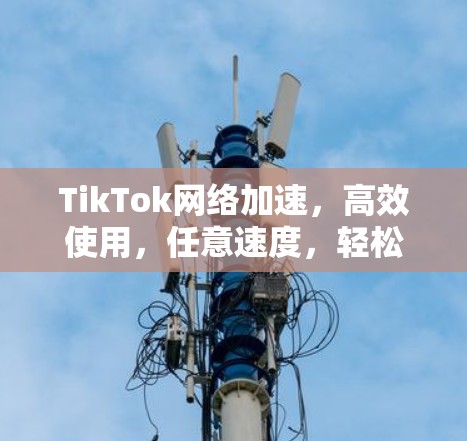 TikTok网络加速，高效使用，任意速度，轻松驾驭