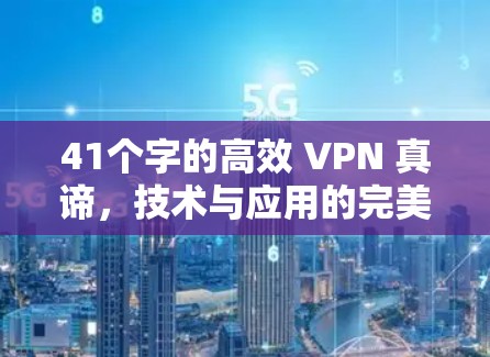 41个字的高效 VPN 真谛,技术与应用的完美融合