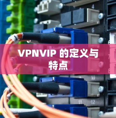 VPNVIP 的定义与特点