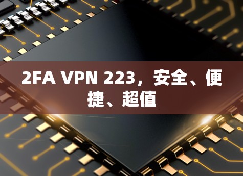 2FA VPN 223,安全、便捷、超值