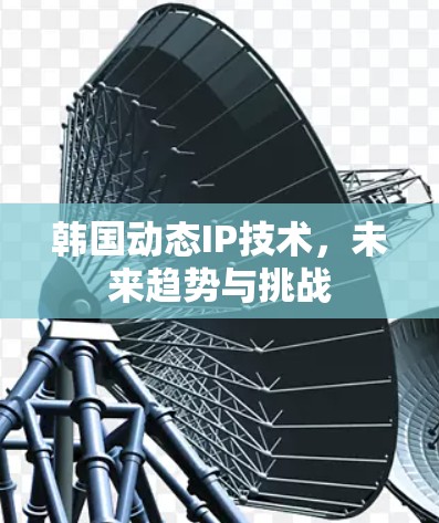 韩国动态IP技术，未来趋势与挑战